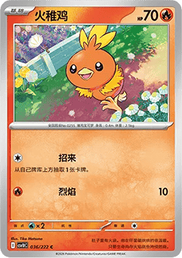Torchic CN