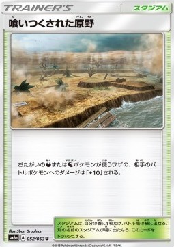 Devoured Field Pokemon card from Dragon Storm