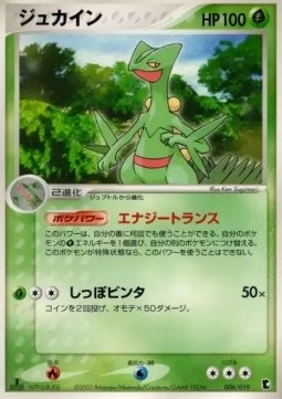 Sceptile Pokemon card from Treecko Constructed Starter Deck