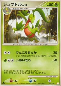 Grovyle Lv.24