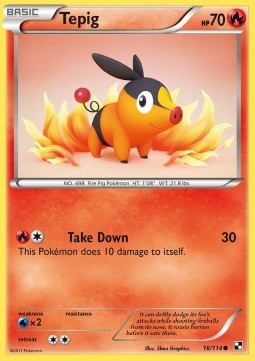 Tepig Pokemon card from Black White