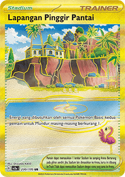 Beach Court ID