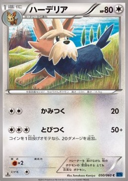 Herdier Pokemon card from Collection X