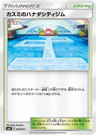 Misty's Cerulean City Gym (Japanese)
