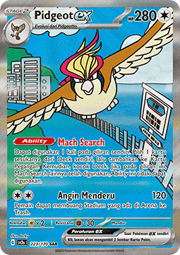 Pidgeot ex ID