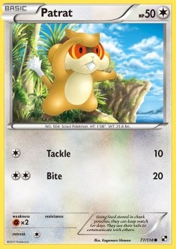 Patrat Pokemon card from Black White
