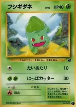 Bulbasaur Pokemon card from Intro Pack (Bulbasaur)