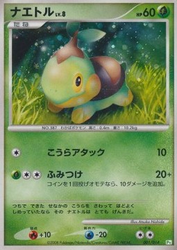 Turtwig Lv.8