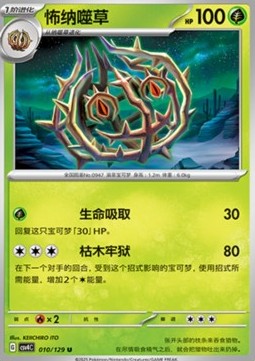 Brambleghast Pokemon card from Bonus Round