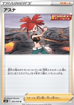 Flannery Pokemon card from Silver Lance