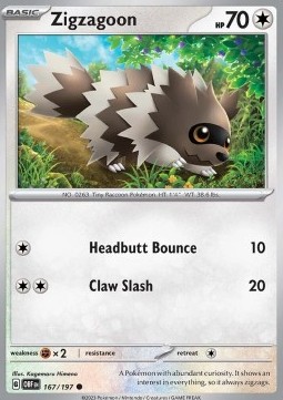 Zigzagoon Pokemon card from Obsidian Flames