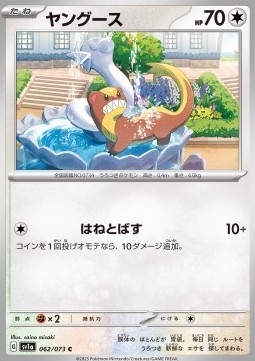 Yungoos Pokemon card from Triplet Beat