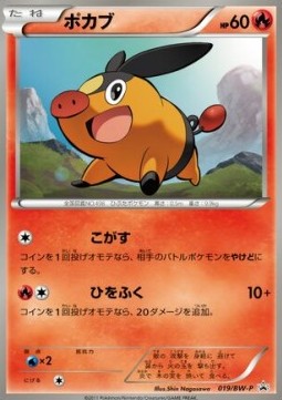 Tepig (BW-P 019) BW Promos