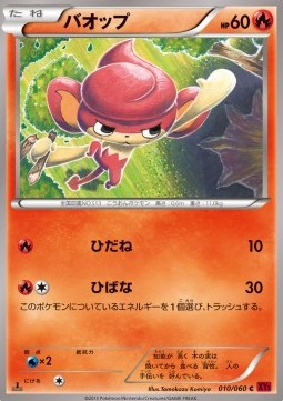 Pansear Pokemon card from Collection Y