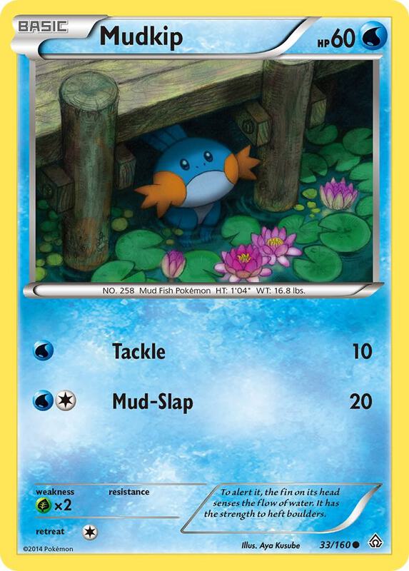Mudkip Pokemon card from XY - Primal Clash
