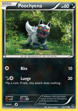 Poochyena Pokemon card from Phantom Forces