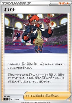 Raihan Pokemon card from Premium Trainer Box VSTAR