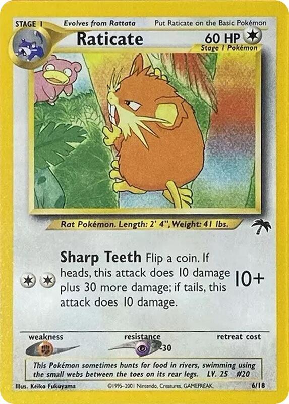 Raticate Pokemon card from Southern Islands