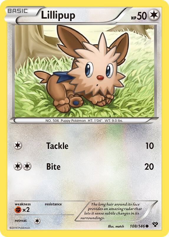 Lillipup Pokemon card from XY Base Set